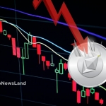 Ethereum Market Cap Plunges