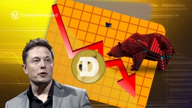 Has Elon Musk Abandoned Dogecoin