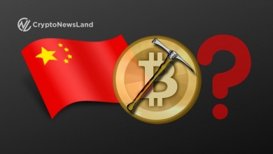What Next for Chinese Bitcoin Miners