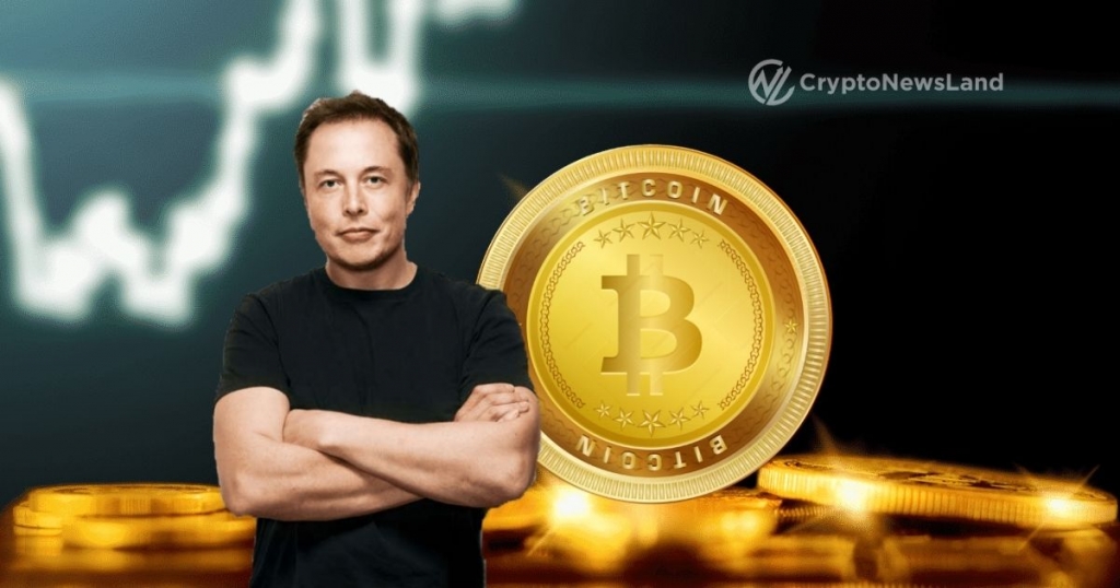 Bitcoin Rises After Elon Musk Says
