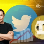 Elon Tweets Price Pump Using Harry Potter Meme