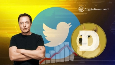 Elon Tweets Price Pump Using Harry Potter Meme