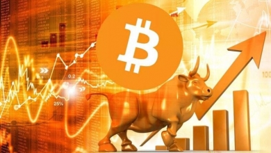 Bitcoin Bull Market