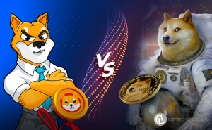 Dogecoin Vs Shiba Inu: Two Meme Coins Fight for Dominance