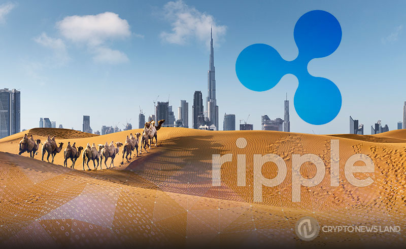 ripple launches first on demand liquidity
