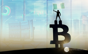 Nigeria’s P2P Bitcoin Trades Continue to Soar Despite Crypto Ban