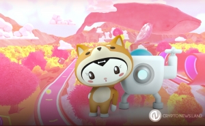 Kitty Inu Guide 2022: How to Buy and How to Play KittyKart