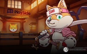 Lucky Few Get an Exclusive First Look of SHIB Game