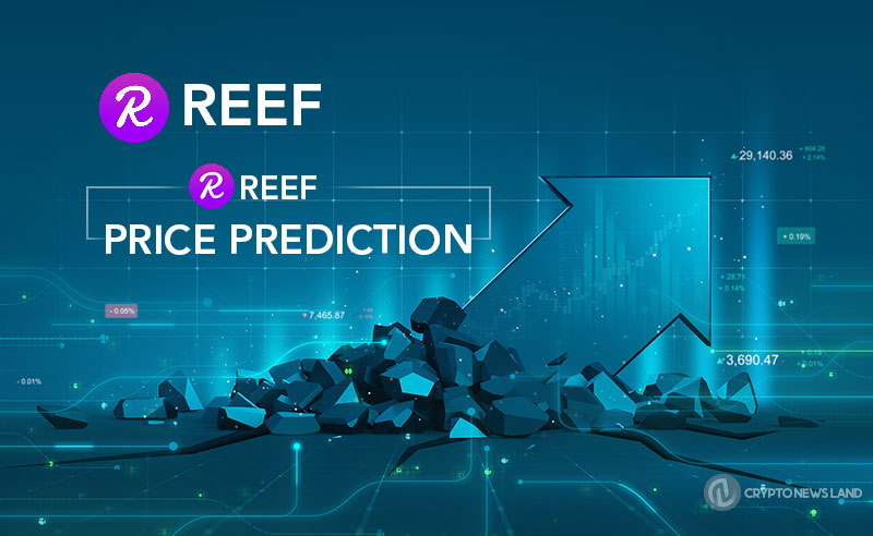Reef-Price-Prediction