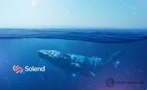 Solend’s Users Invalidate Votes to Briefly Control a Whale Account