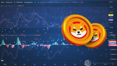 SHIB Keeps RSI and MACD Uptrend Position, Is Price Surge Nearing?