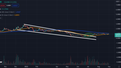 Avoid These 5 Critical Trading Errors and Watch Your Profits Soar