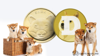 Memecoins-Take-Over-DOGE-and-SHIB-in-Competition
