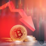 Crypto Market Sinks Fast, Economists Debate Consequences