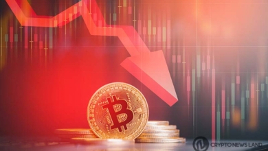 Crypto Market Sinks Fast, Economists Debate Consequences