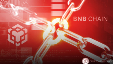 BNB Chain Suspends Network After a Cross-Chain Exploit