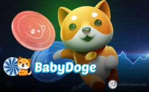 Baby Doge Coin Experiences 17% Price Surge Following Bullish Binance Listing Alongside NEIRO and TURBO