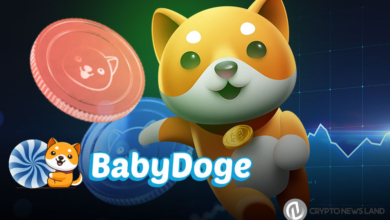 Baby Doge Swap Is Officially Launched, Team Excited