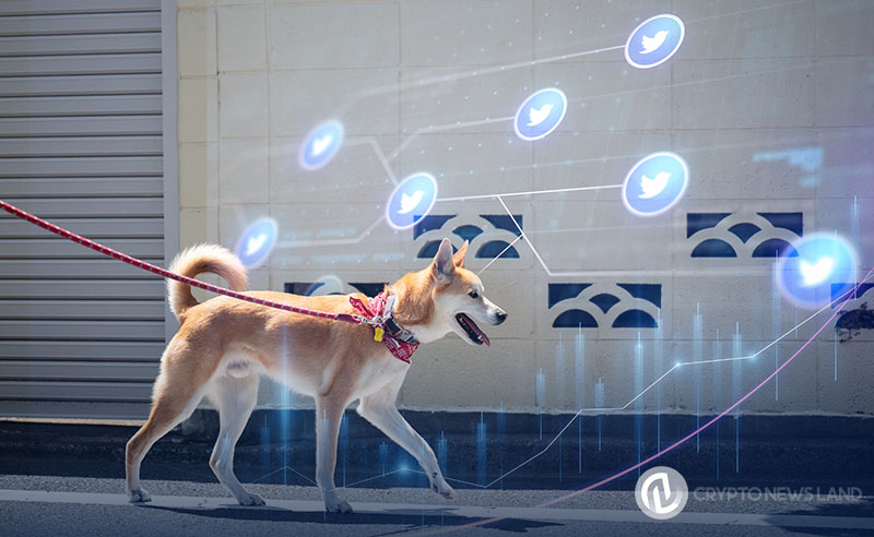 Dogecoin Surges 42% as Investors Eye Twitter Adoption