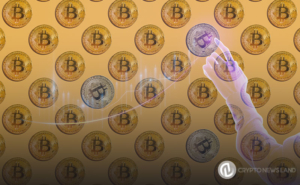 More Than 75% of Bitcoin Is Held by Long-Term Investors