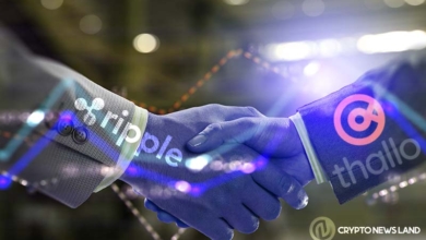 To-Establish-Its-Trade,-Thallo-Partners-with-Ripple