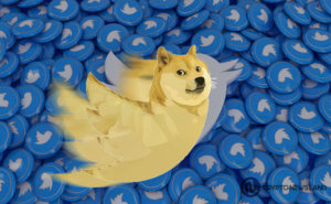 Dogecoiners Hopeful Amid Rumors of a New Twitter Coin