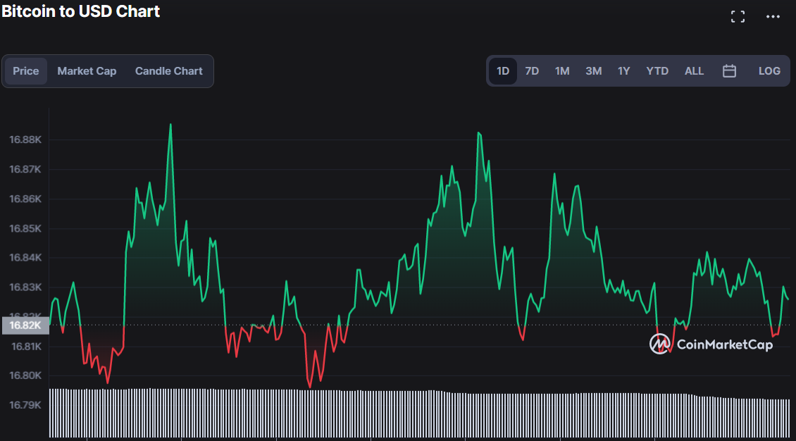 The Best Crypto Charting Software to Enhance Your Trading Strategy in 2024