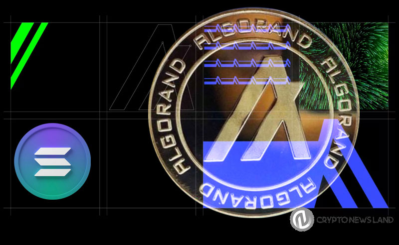 Algofi, the largest DeFi protocol in the Algorand ecosystem, will enter withdrawal-only mode and close social media accounts, except for Discord, after raising $2.8 million in funding.