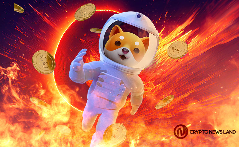 BabyDoge Renounces Token Contracts on Ethereum and BNB Chain