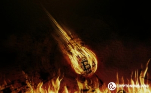 Investor’s Contrarian Moves: From Bitcoin’s Peak to the Bottom and Back Again