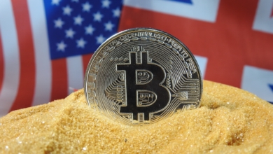 US Govt Emerges as Major Bitcoin Holder with $6 Billion