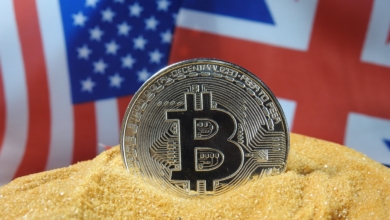US Govt Emerges as Major Bitcoin Holder with $6 Billion