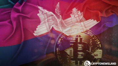 National Bank of Cambodia Authorizes Banks for Crypto Services