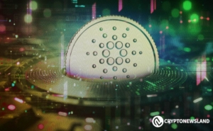 Cardano Dominates Developer Activity, Signals Price Surge