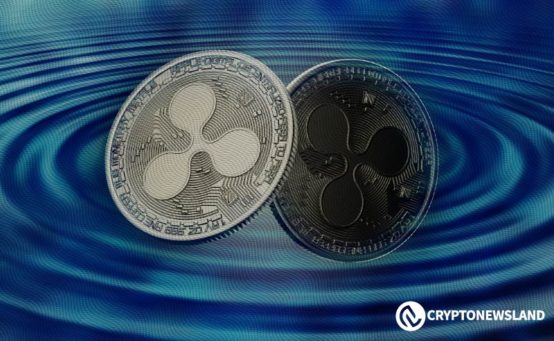 XRP Investment Potential: Strong Partnerships and Risk Management