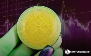 XRP Verdict Cannot Be Reversed Says Lead Ripple Lawyer