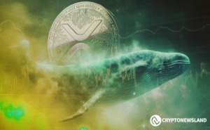 XRP’s Power Play: Potential 600% Surge, BitBuy Relisting, and Twitter Tipping