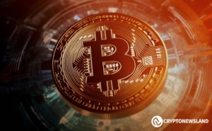 Bitcoin’s Remarkable Surge: 90% Profit for Holders as BTC Hits $46K