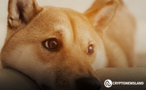 SHIB Price Holds Steady Amid 1000% Outflow: New Tech on the Horizon Ahead of Shibarium
