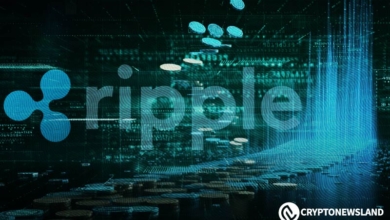 Ripple in Talks with Reserve Bank of New Zealand for CBDC Development on XRPL