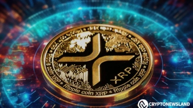 Bitcoin vs. XRP: The Path to Becoming a Millionaire