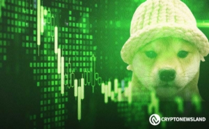 dogwifhat Eyes Major Upswing Amid Whale Accumulation and Binance Smart Chain Boost