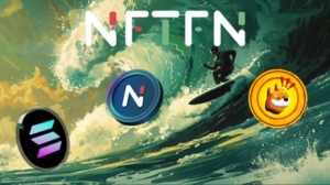 Ride the Crypto Wave in 2024 with Bonk, Solana, and NFTFN for Maximum Earnings