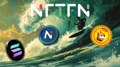 Ride the Crypto Wave in 2024 with Bonk, Solana, and NFTFN for Maximum Earnings