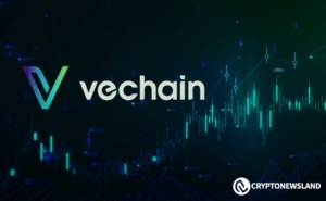 Investor Raises Concerns About Transparency in VeChain’s Operations