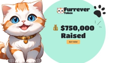 Shiba Inu (SHIB)'s 765 Billion Transfer, Solana (SOL)'s Technical Challenges, and Furrever Token (FURR)'s Rising as Community Grows to Over 4,000