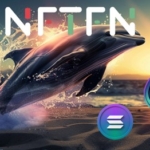 Why NFTFN and Solana Stand Out Crypto Whales' Top Picks for This Year's Altcoin Boom