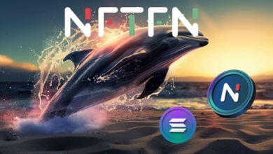 Why NFTFN and Solana Stand Out Crypto Whales' Top Picks for This Year's Altcoin Boom