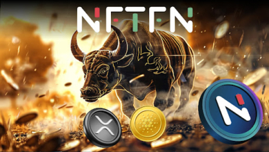 2024 Bull Run Top Crypto: Why NFTFN Is a Better Investment Than XRP and ADA