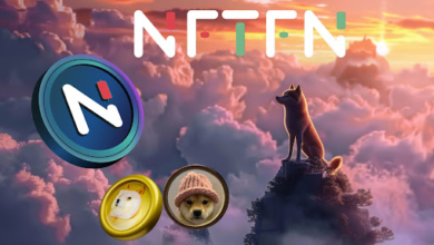 Early Believers In $NFTFN Foresee Surpassing DOGE And Dogwifhat In Market Impact